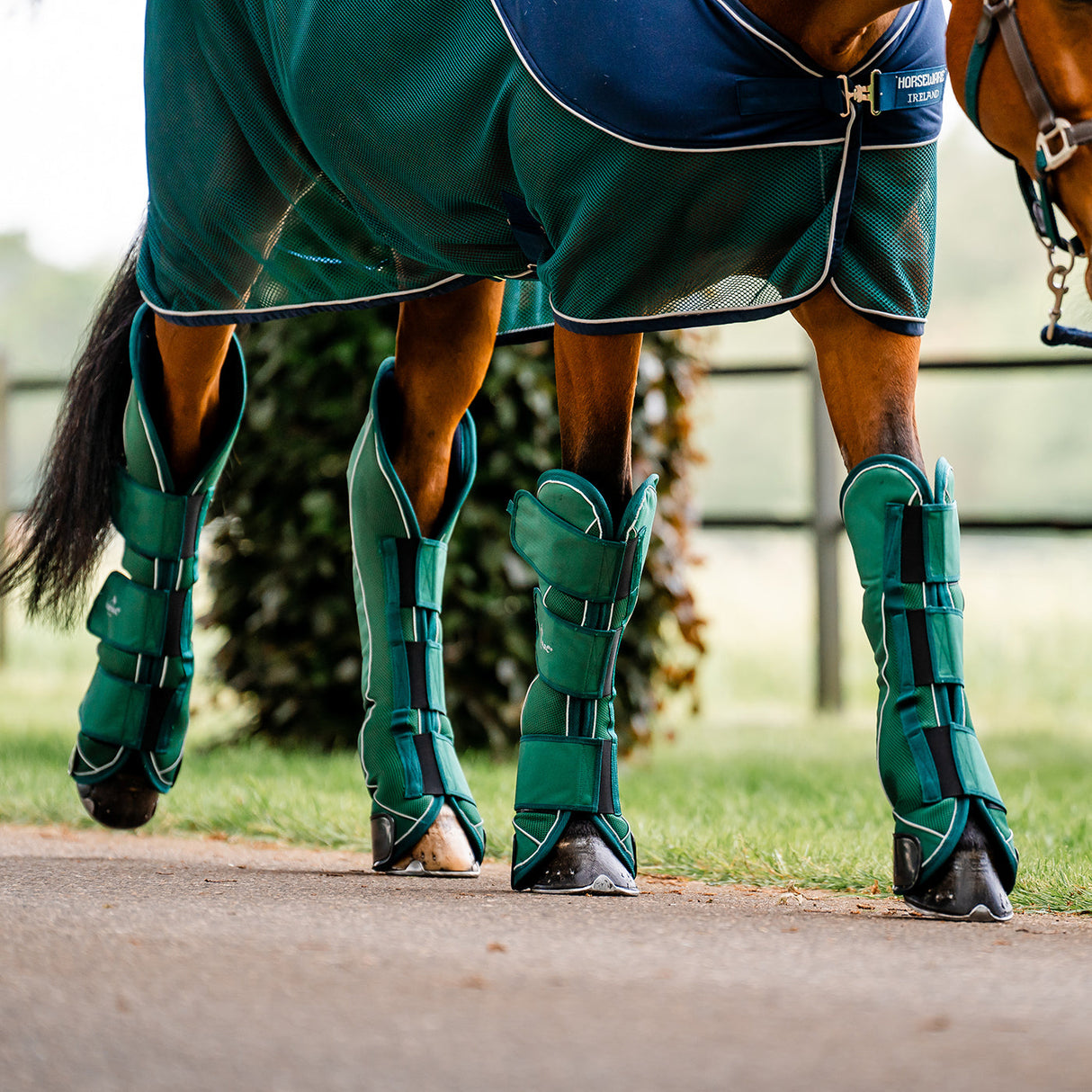 Horseware Signature Travel Boots