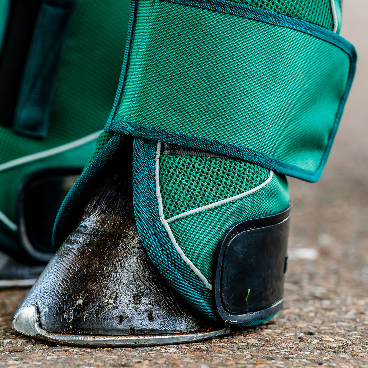 Horseware Signature Travel Boots