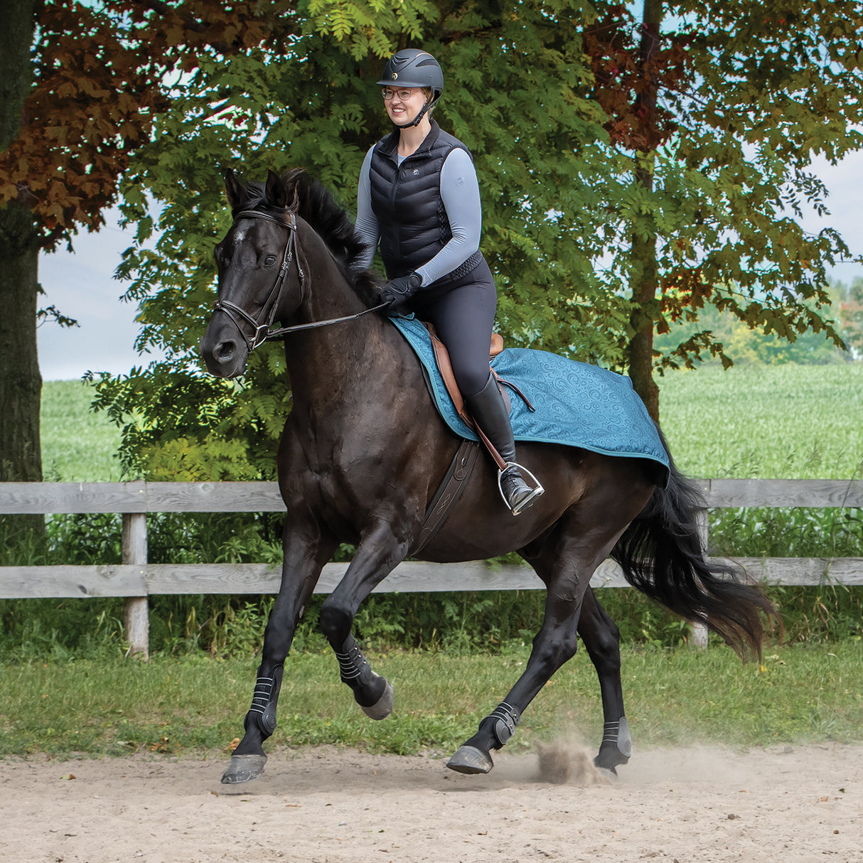 Shedrow Weatherproof Exercise Sheet