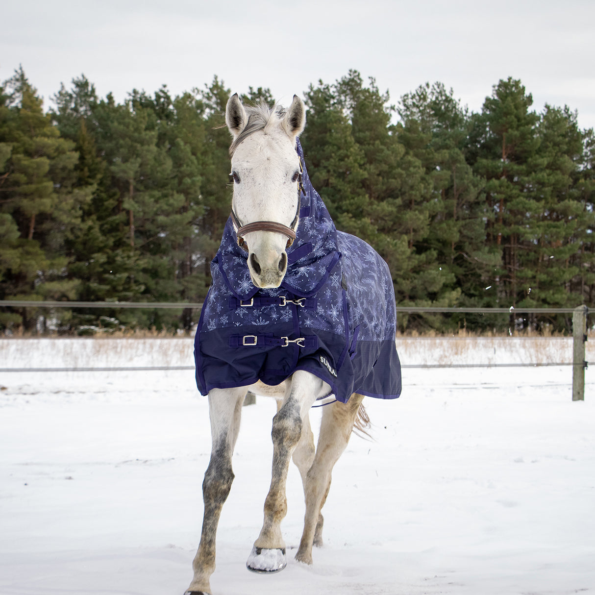 Supra Full Neck Turnout Blanket 300 g