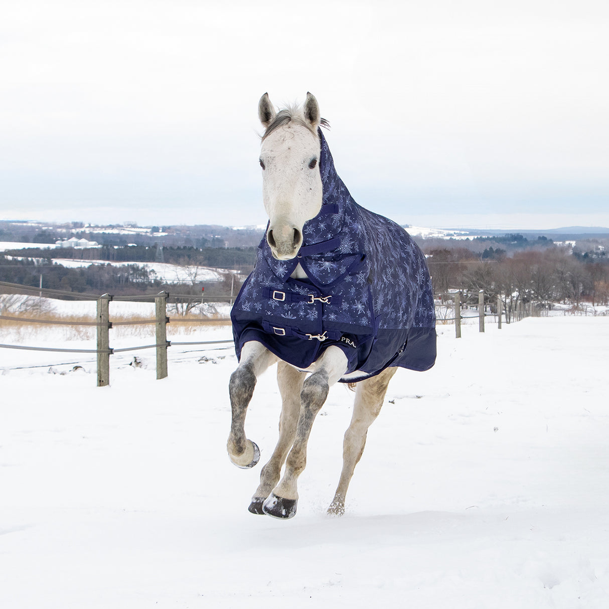 Supra Full Neck Turnout Blanket 300 g