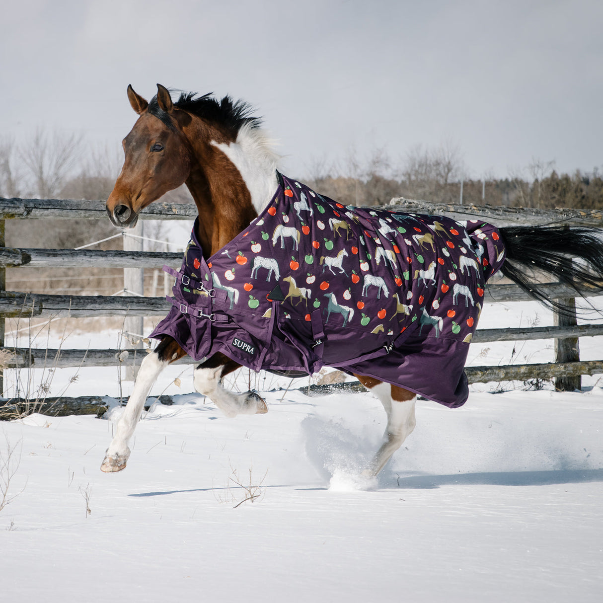 Supra Turnout Blanket 300 g