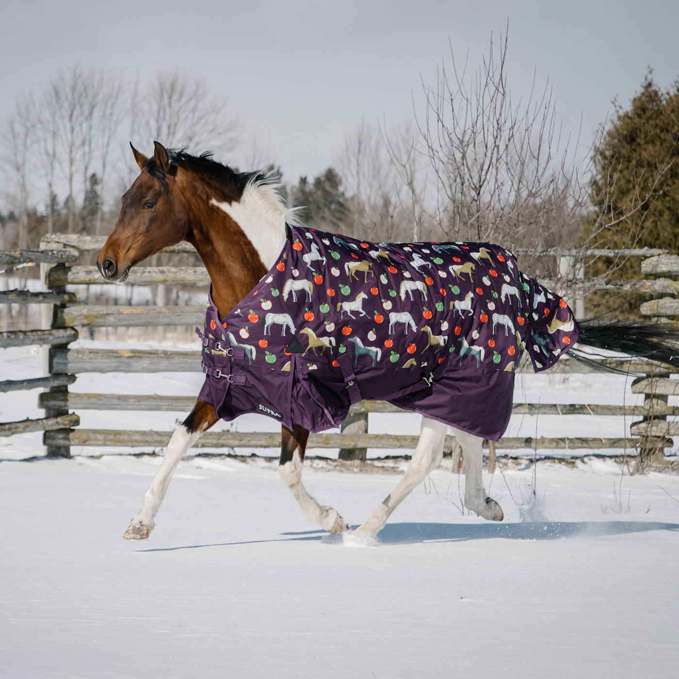 Supra Turnout Blanket 300 g