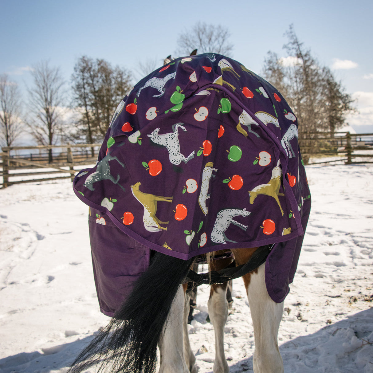 Supra Turnout Blanket 300 g