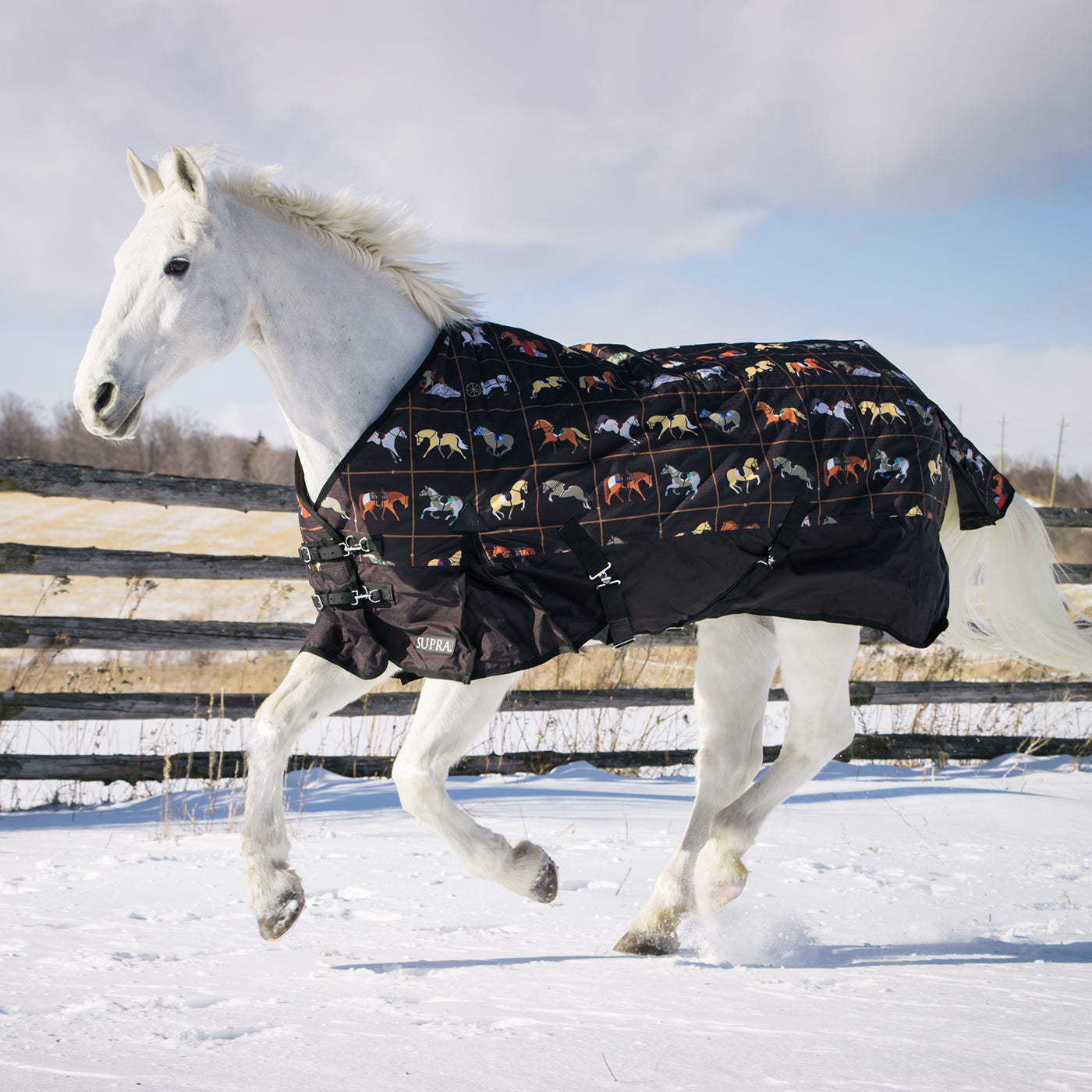 Supra Turnout Blanket 300 g