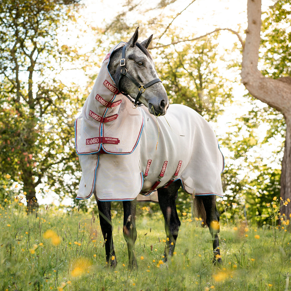 Rambo Protector Disc Front Fly Sheet