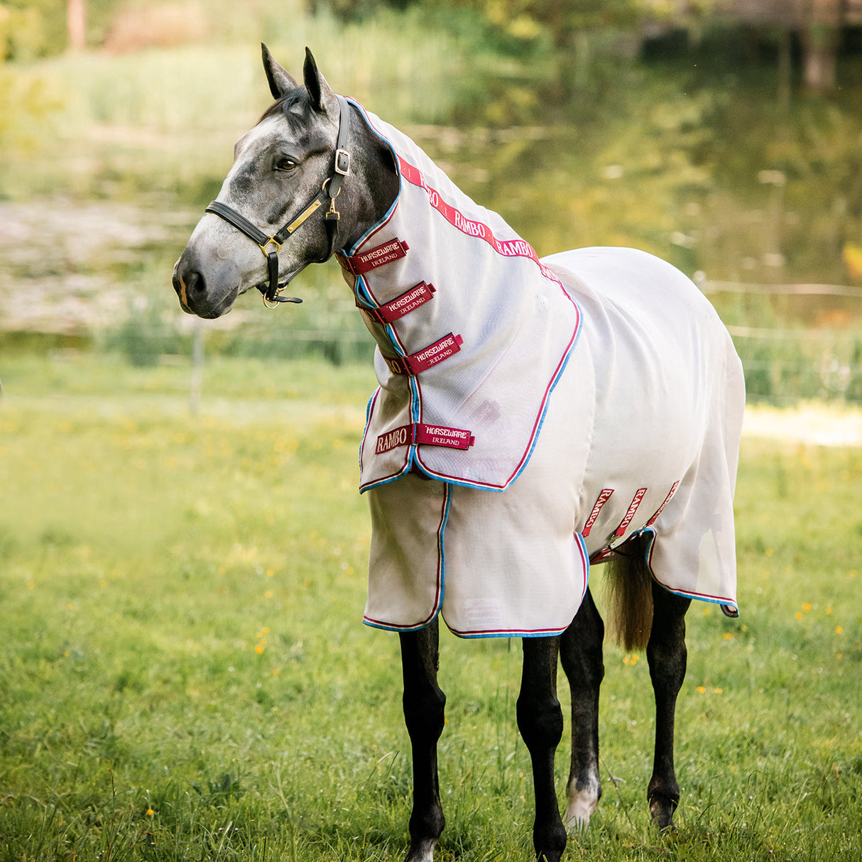 Rambo Protector Disc Front Fly Sheet