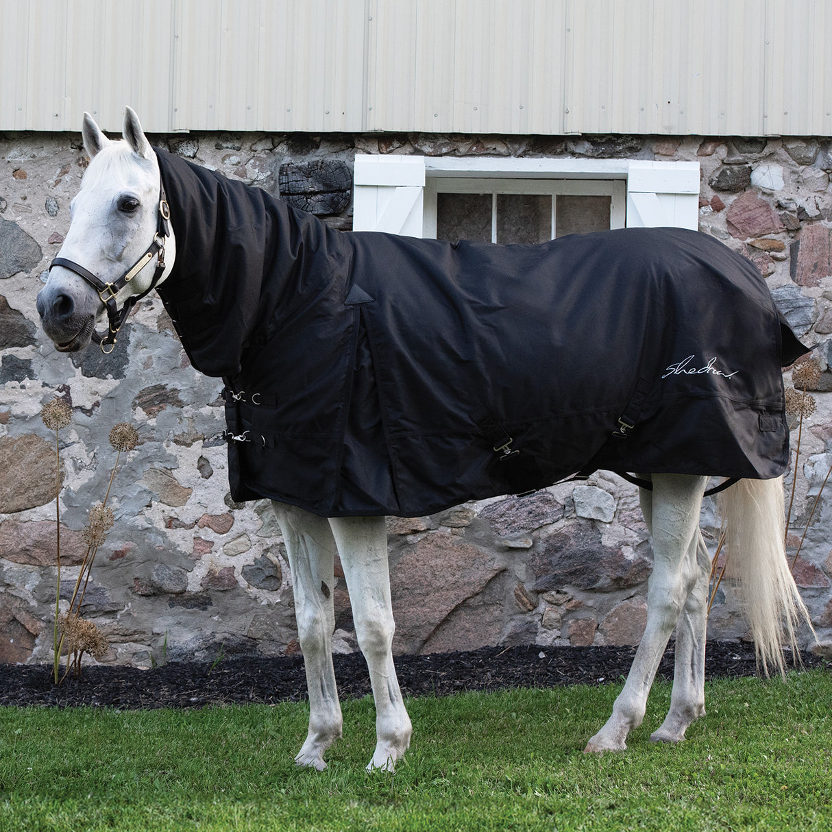 Shedrow Full Neck Turnout Blanket 300 g