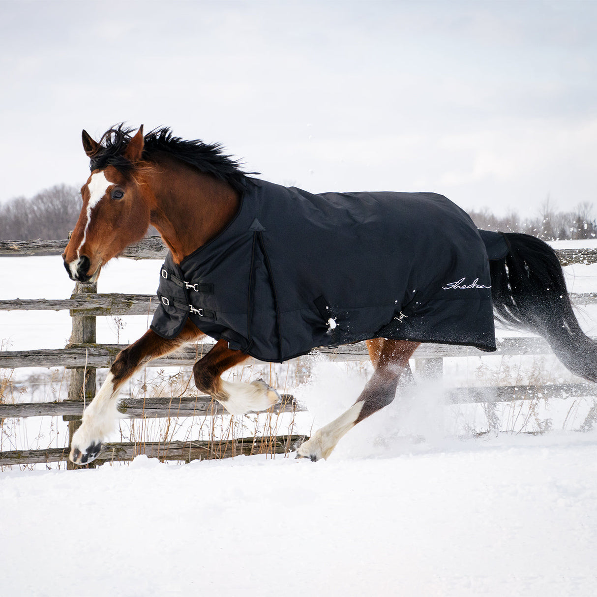 Shedrow Turnout Blanket 150 g