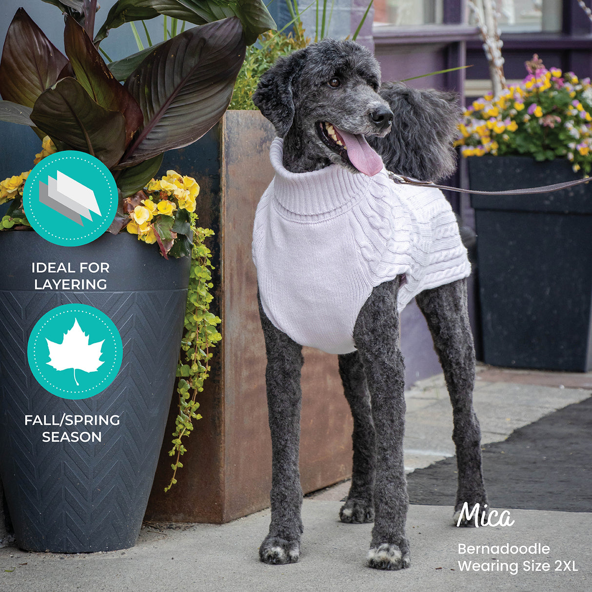 Shedrow K9 Brentwood Cable Knit Dog Sweater Plus