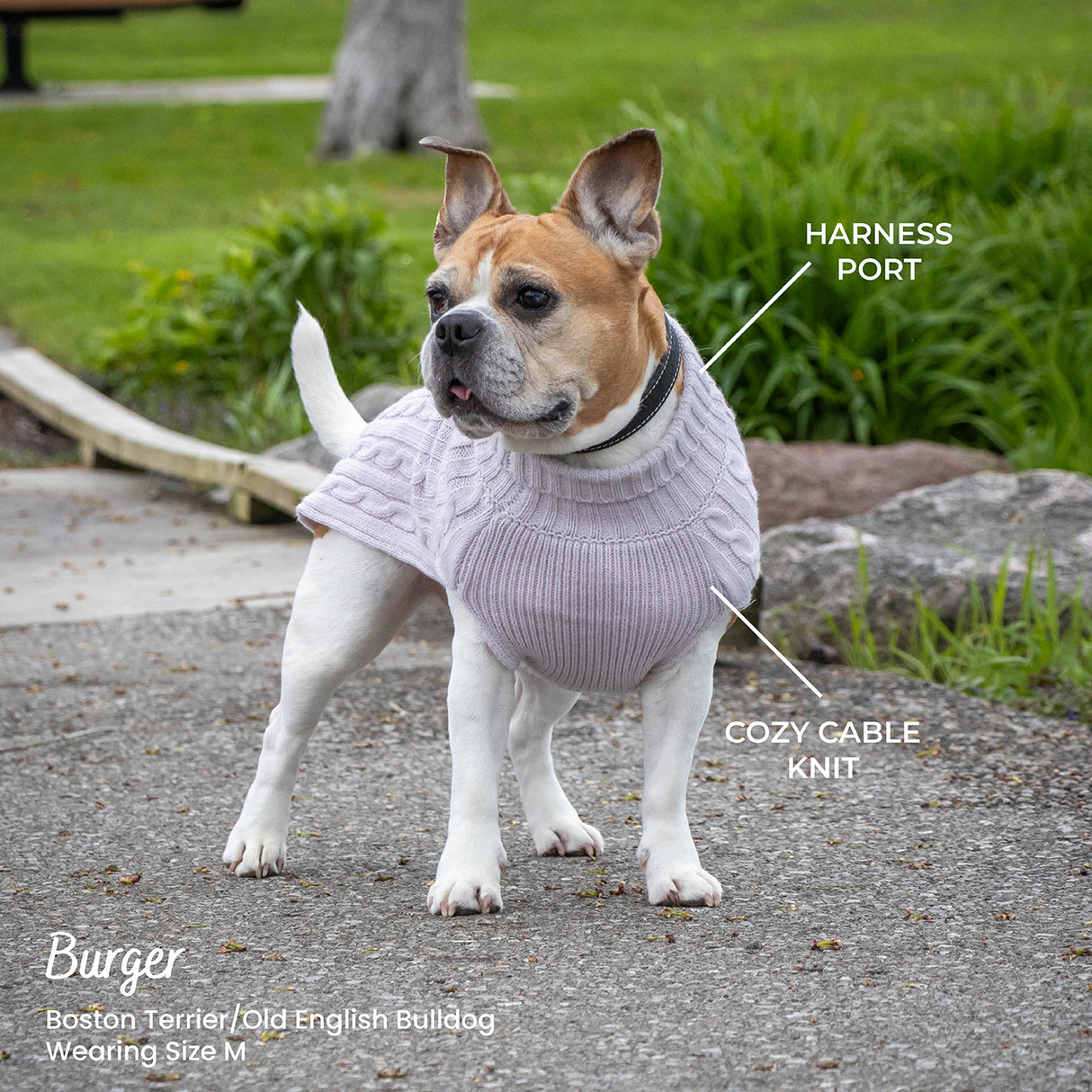 Shedrow K9 Brentwood Cable Knit Dog Sweater Plus