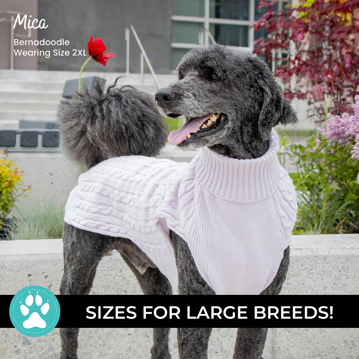 Shedrow K9 Brentwood Cable Knit Dog Sweater Plus