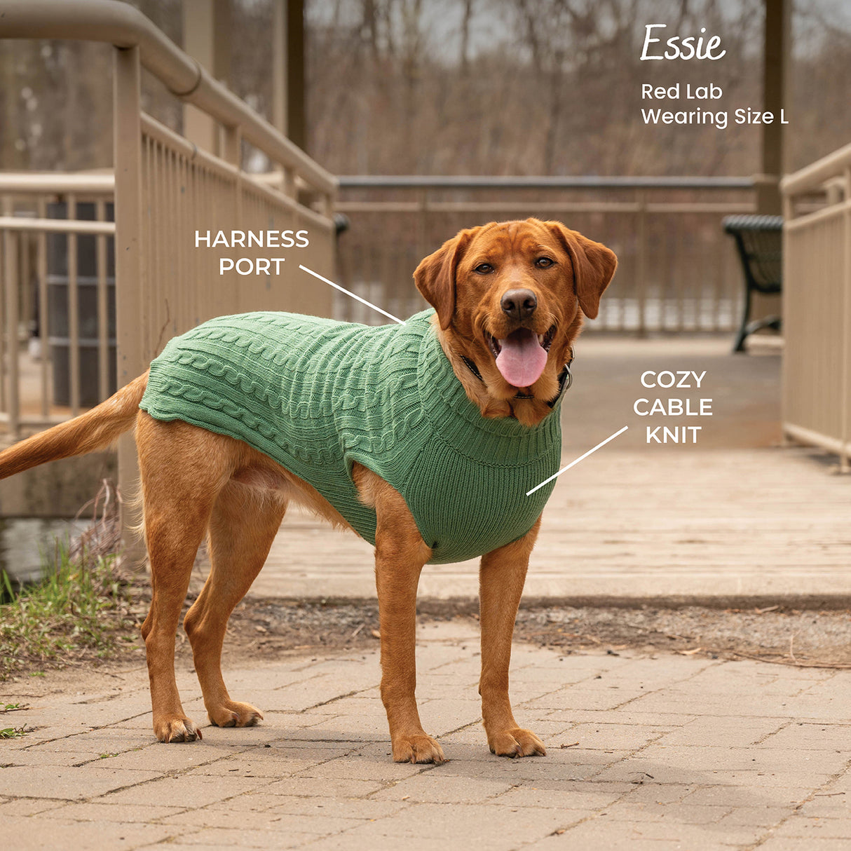 Shedrow K9 Brentwood Cable Knit Dog Sweater Plus