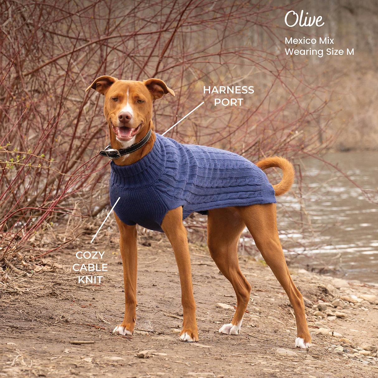 Shedrow K9 Brentwood Cable Knit Dog Sweater Plus