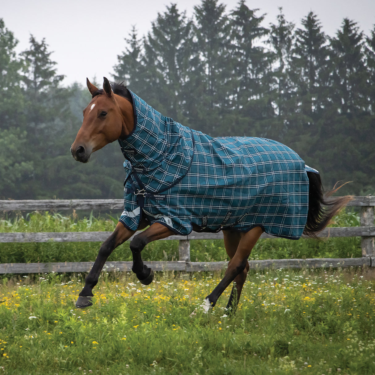 Greenhawk Rhino Plus Lite Turnout Blanket 0 g