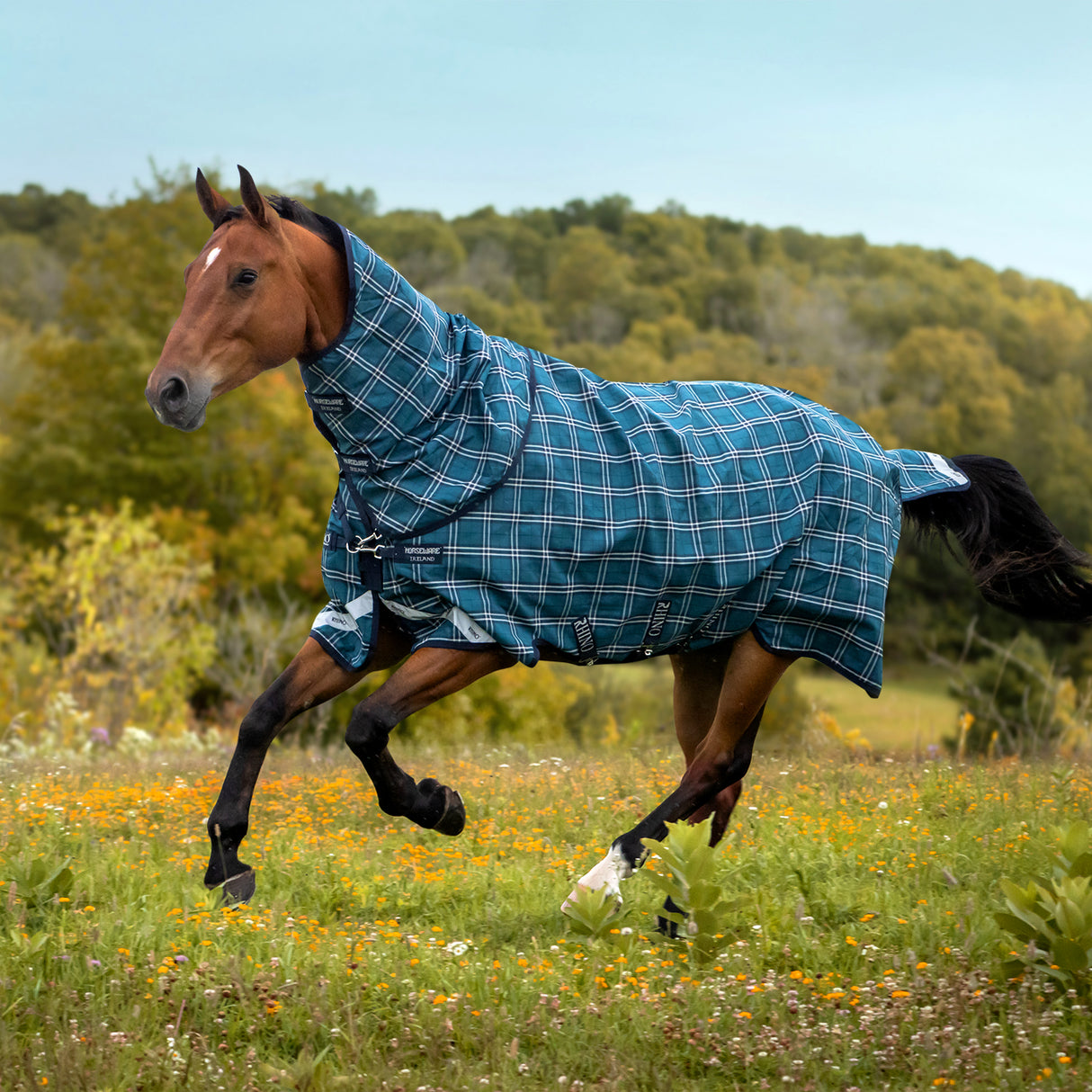 Greenhawk Rhino Plus Medium Turnout Blanket 250 g