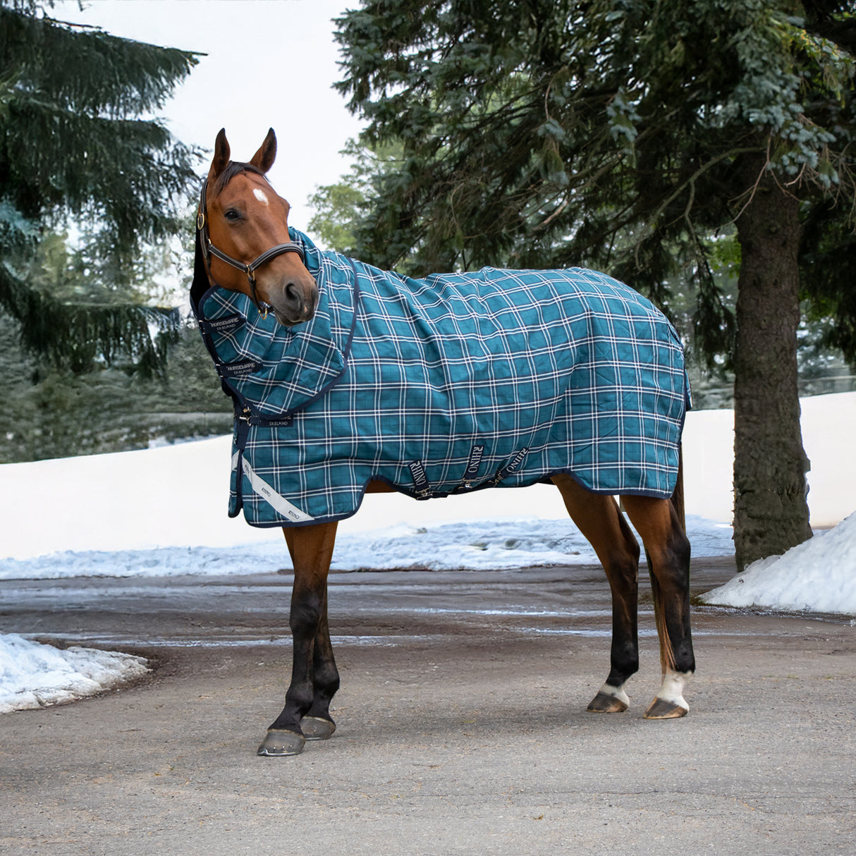 Greenhawk Rhino Plus Medium Turnout Blanket 250 g