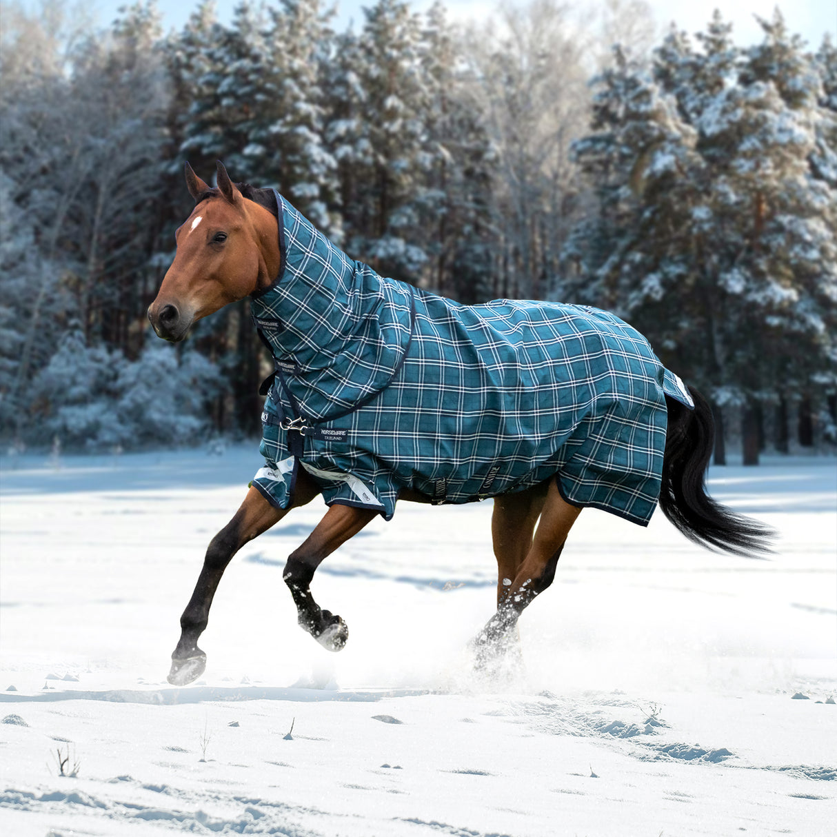 Greenhawk Rhino Plus Heavy Turnout Blanket 450 g