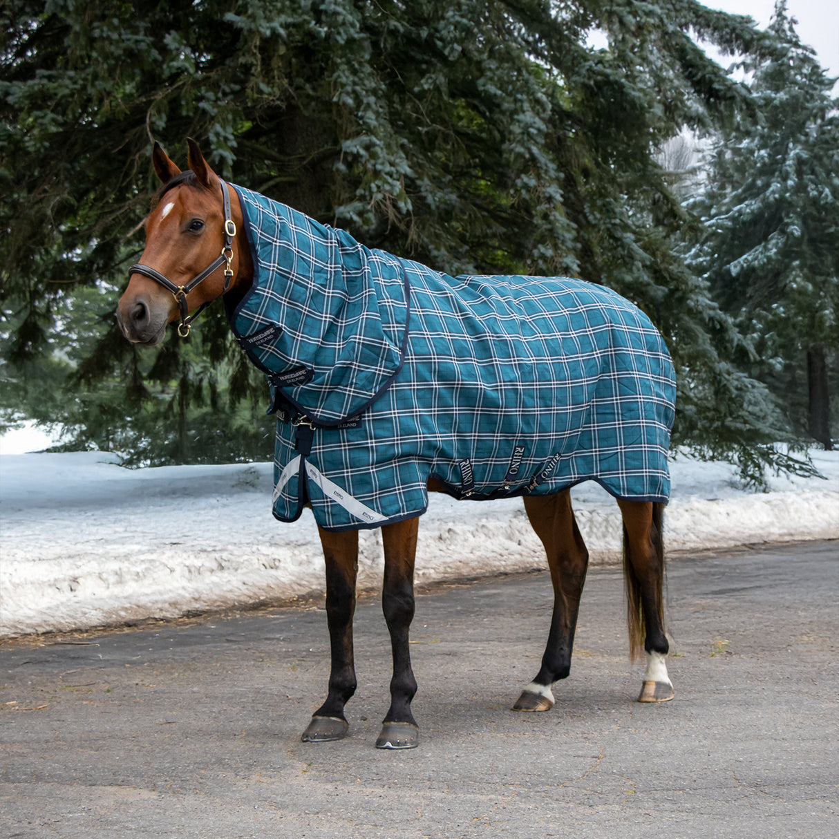 Greenhawk Rhino Plus Heavy Turnout Blanket 450 g