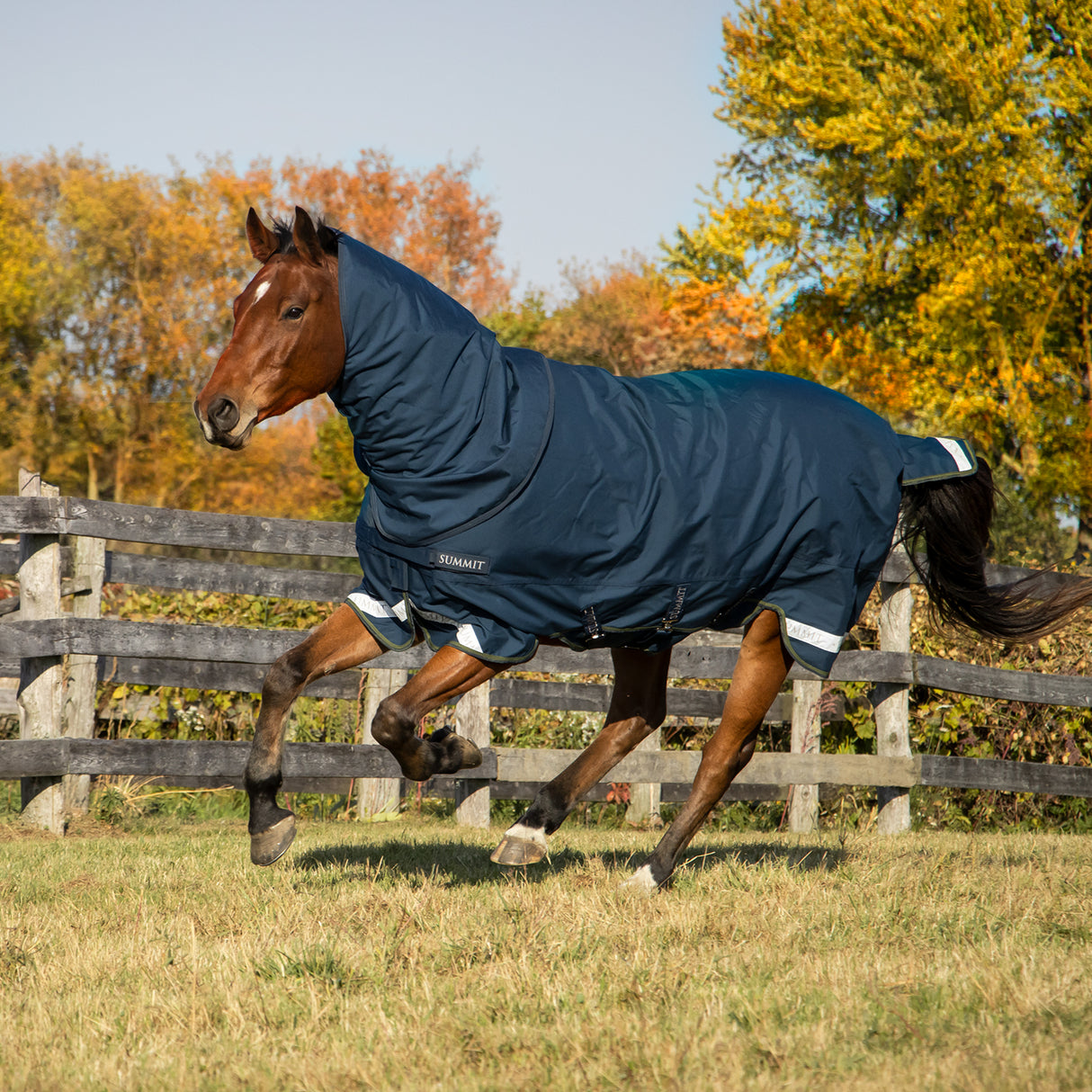 Summit Nova Turnout Blanket 100 g W/ Hood