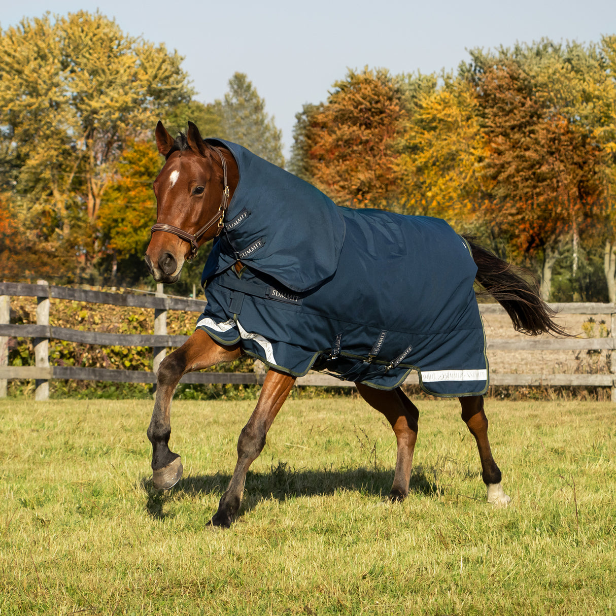 Summit Nova Turnout Blanket 100 g W/ Hood