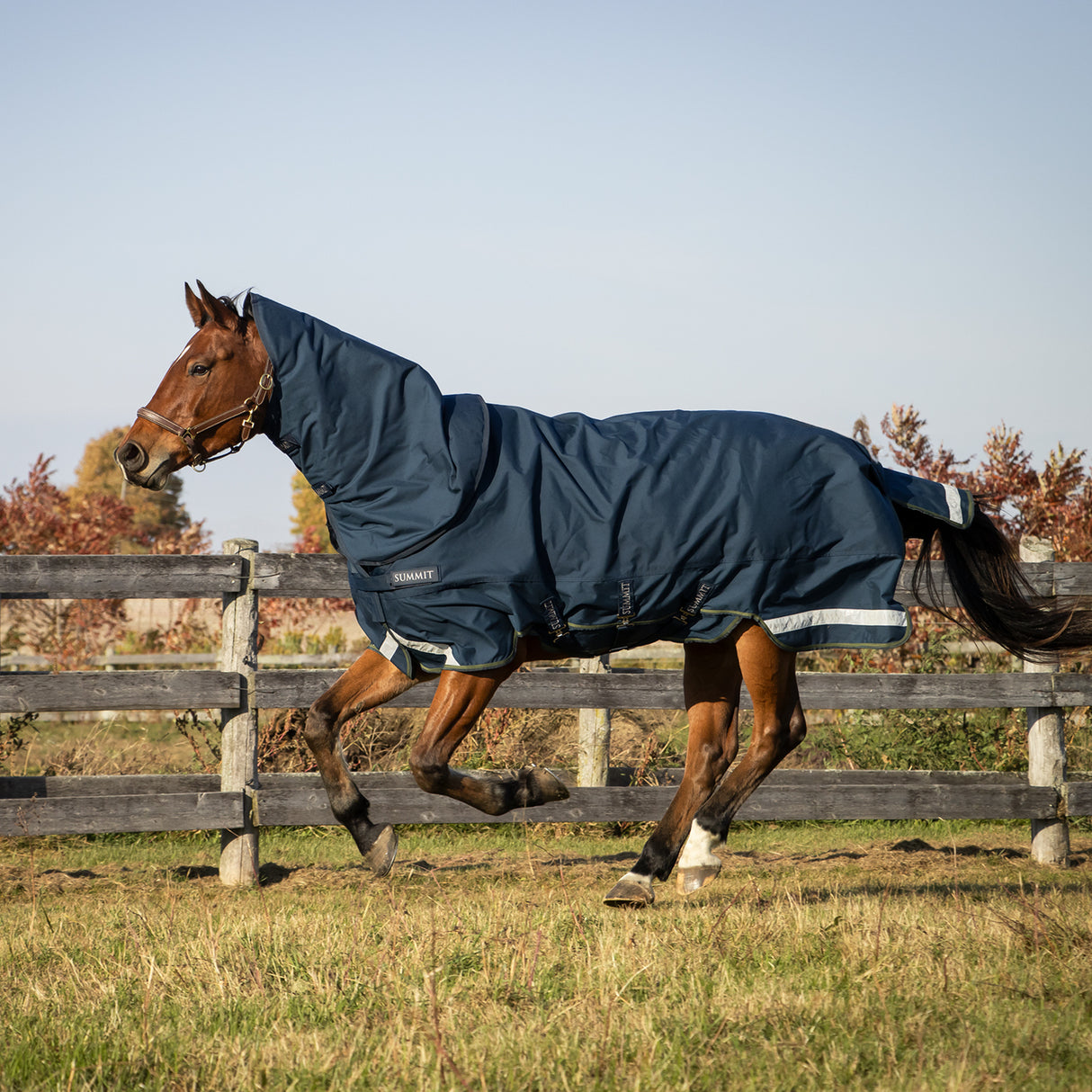 Summit Nova Turnout Blanket 100 g W/ Hood
