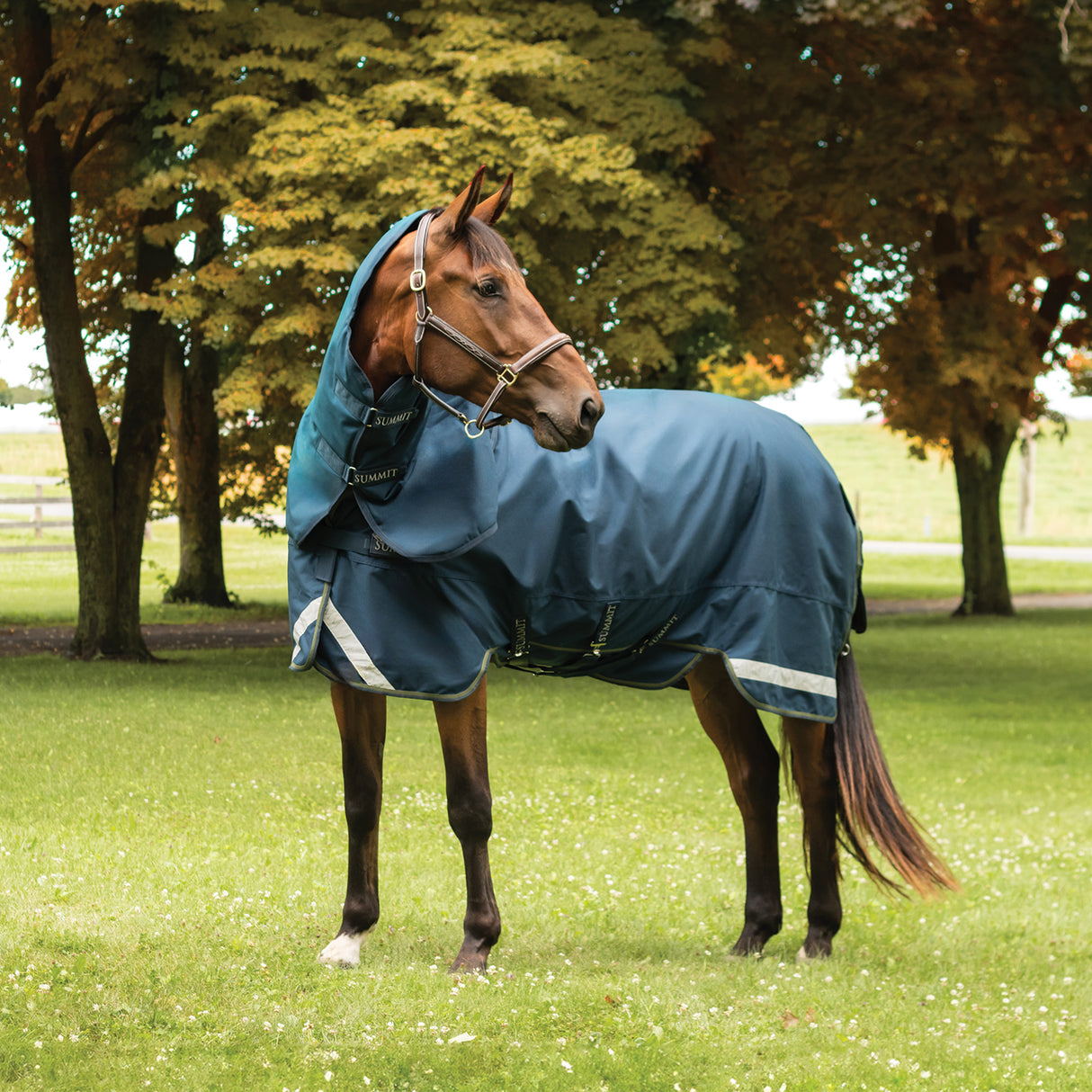 Summit Nova Turnout Blanket 100 g W/ Hood