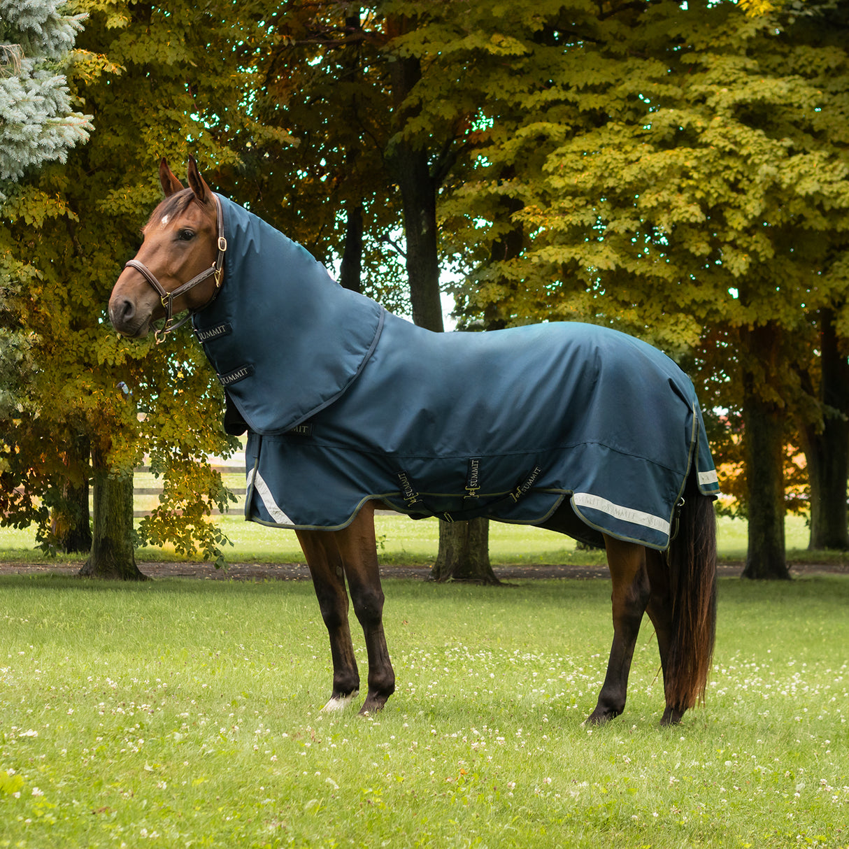 Summit Nova Turnout Blanket 100 g W/ Hood