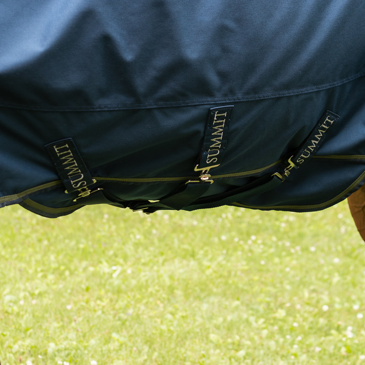 Summit Nova Turnout Blanket 100 g W/ Hood