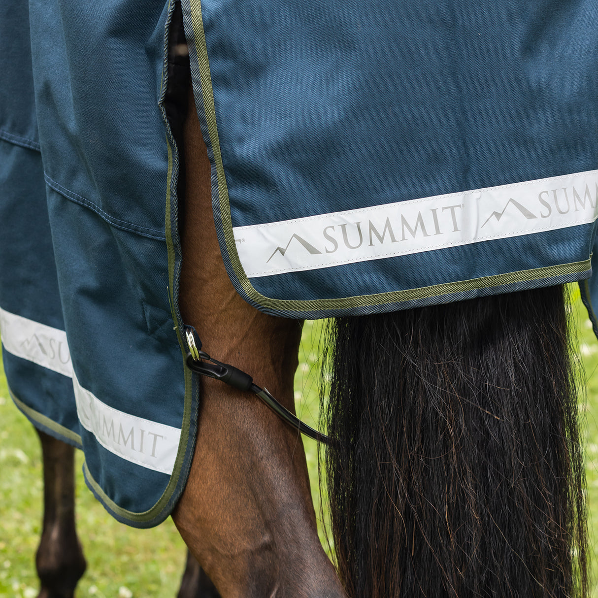 Summit Nova Turnout Blanket 100 g W/ Hood