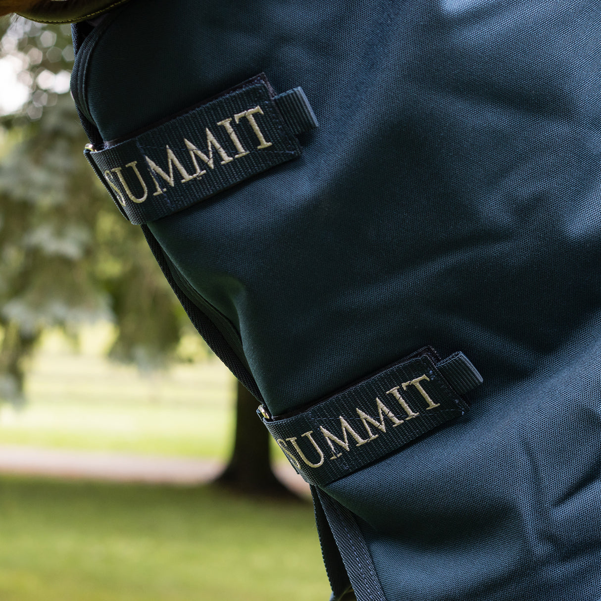 Summit Nova Turnout Blanket 100 g W/ Hood