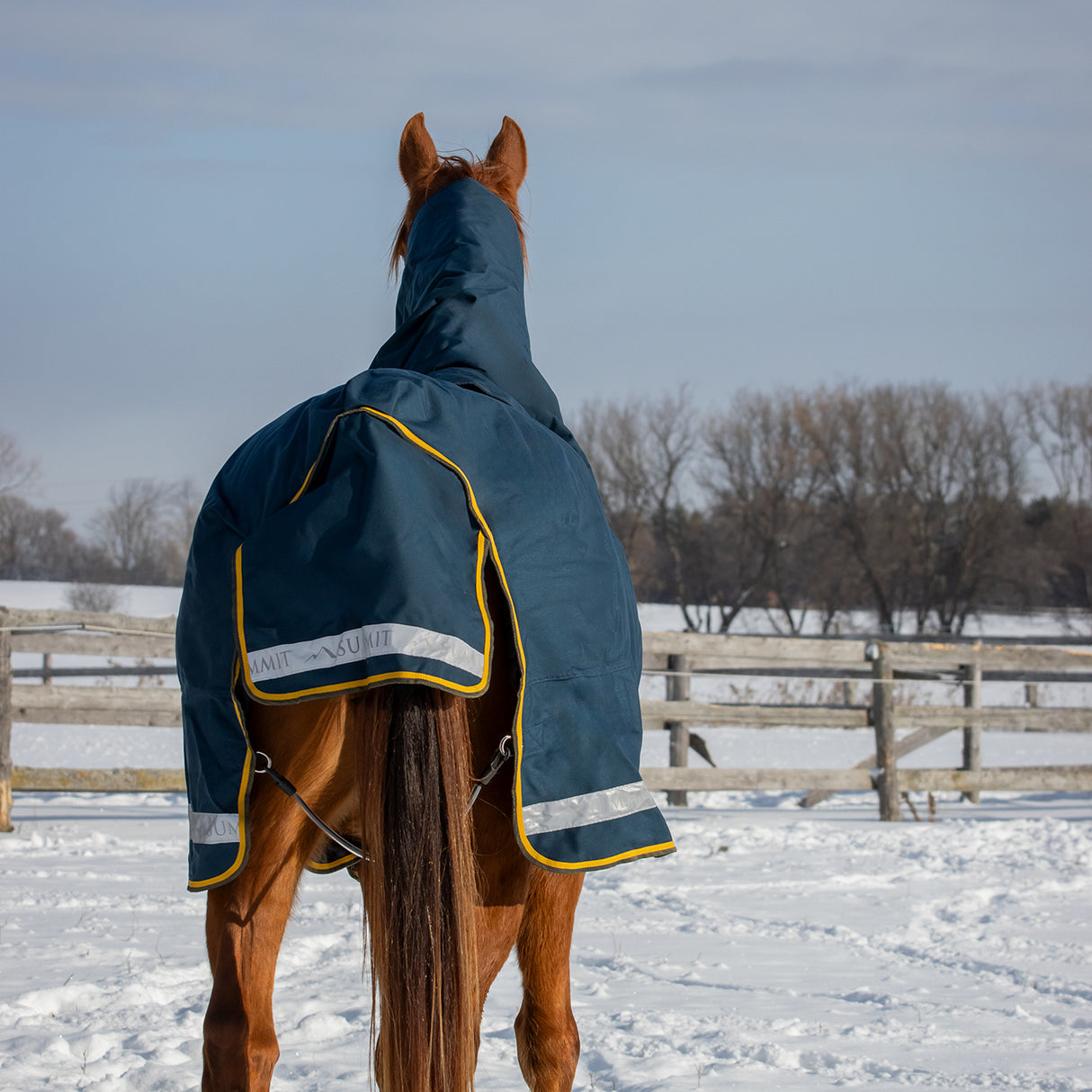 Summit Nova Turnout Blanket 250 g W/ 150 g Hood