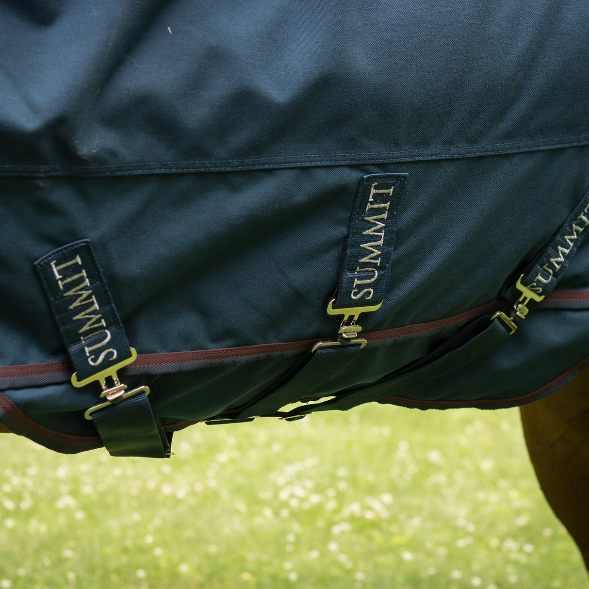 Summit Nova Turnout Blanket 400 g W/ 150 g Hood