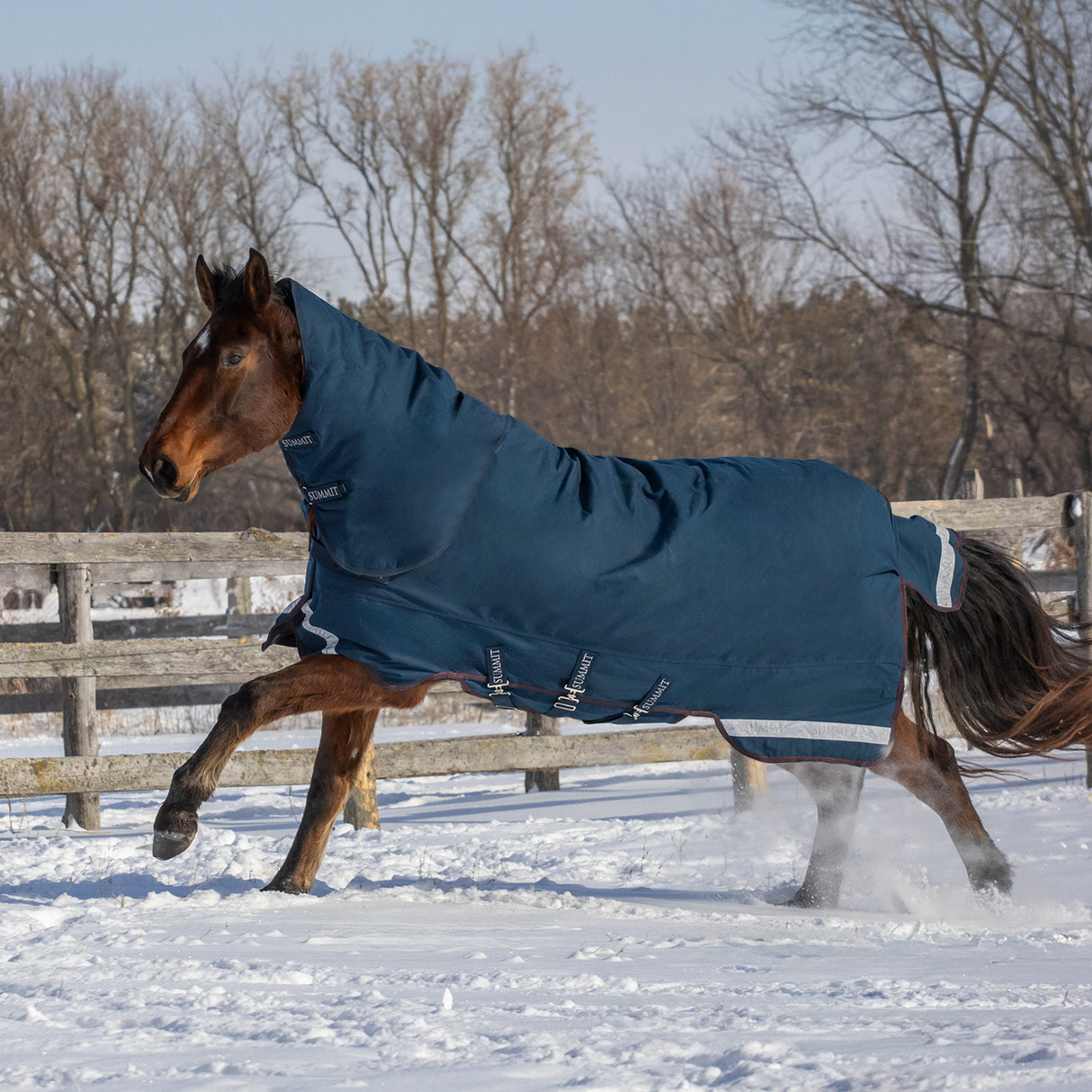 Summit Nova Turnout Blanket 400 g W/ 150 g Hood