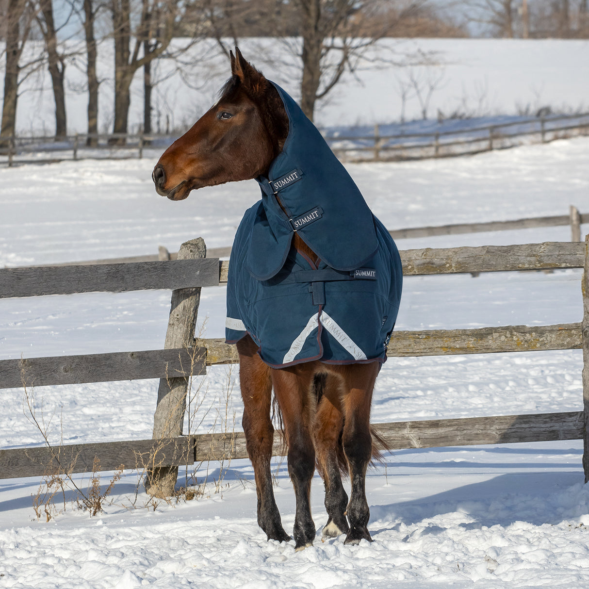 Summit Nova Turnout Blanket 400 g W/ 150 g Hood