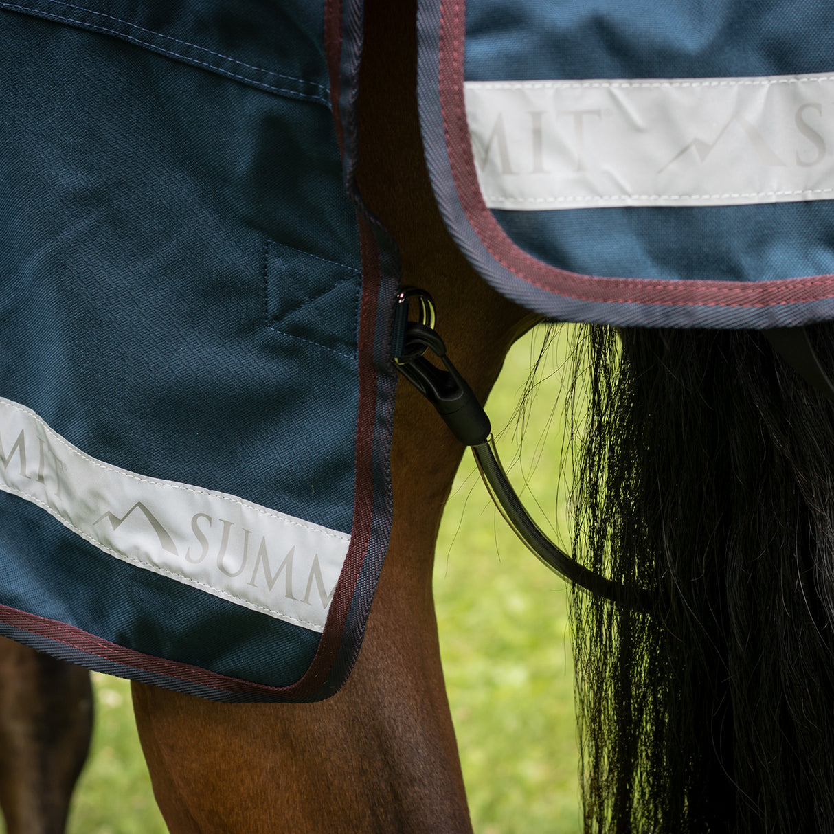 Summit Nova Turnout Blanket 400 g W/ 150 g Hood