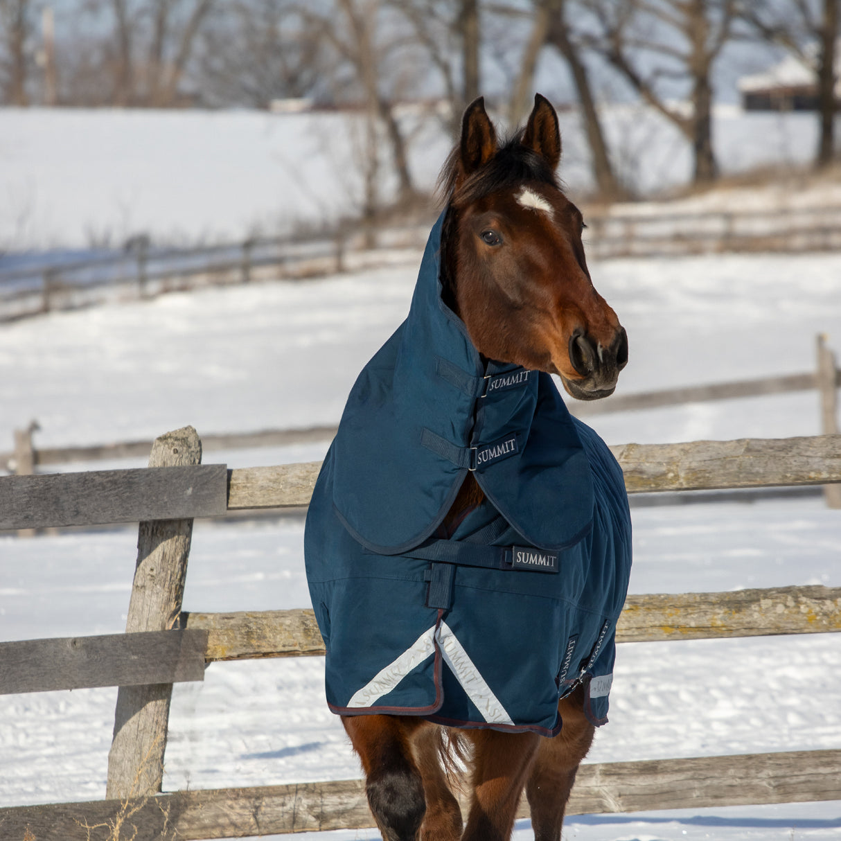 Summit Nova Turnout Blanket 400 g W/ 150 g Hood