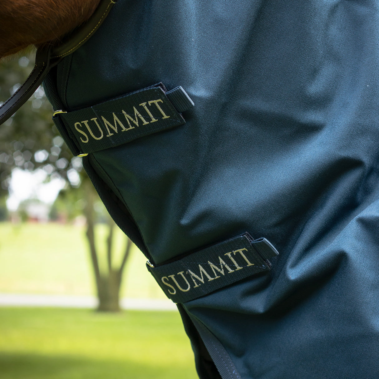 Summit Nova Turnout Blanket 400 g W/ 150 g Hood