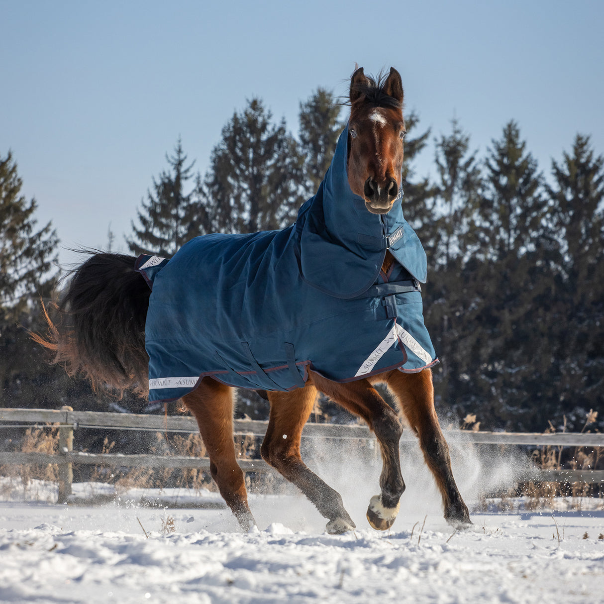 Summit Nova Turnout Blanket 400 g W/ 150 g Hood