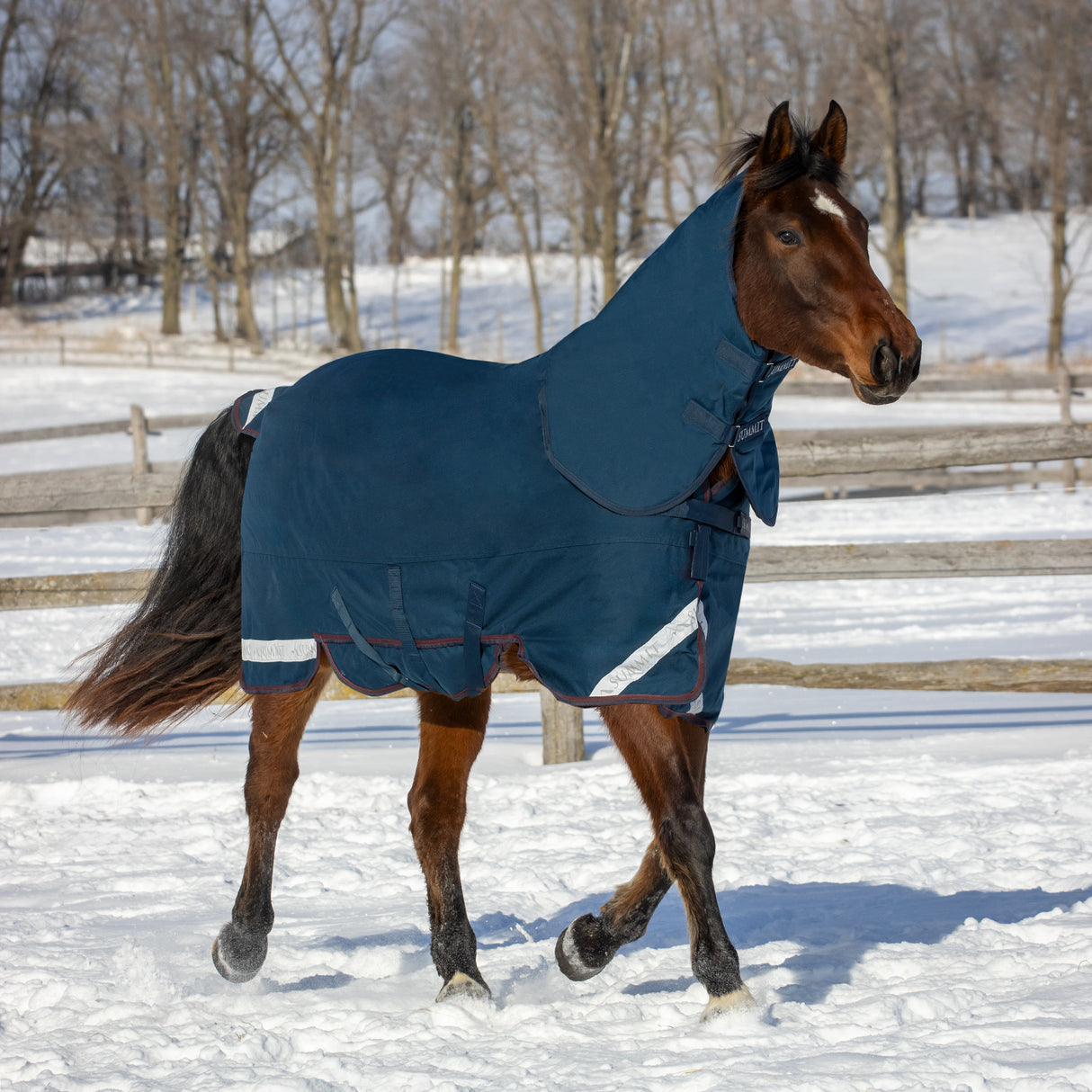 Summit Nova Turnout Blanket 400 g W/ 150 g Hood