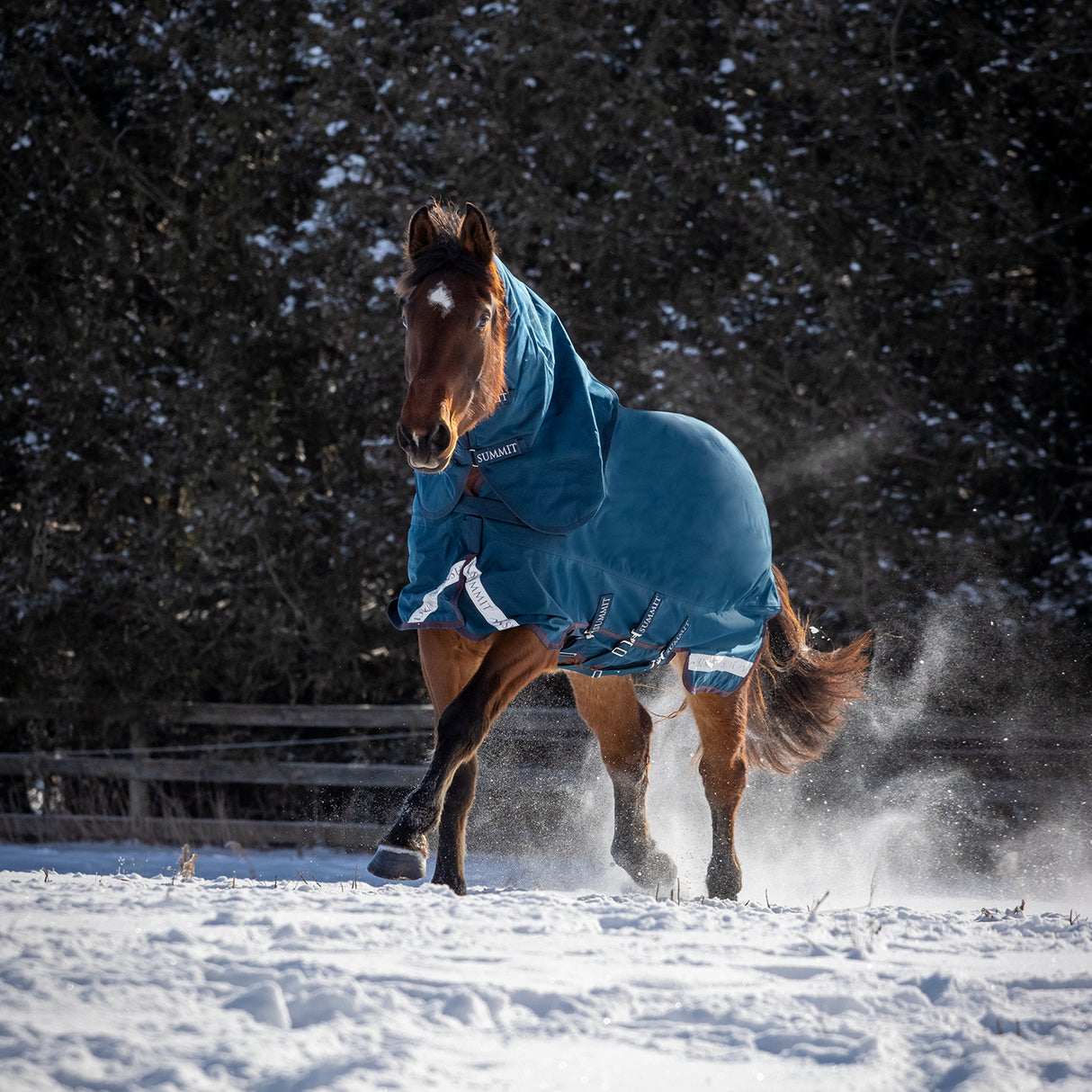 Summit Nova Turnout Blanket 400 g W/ 150 g Hood