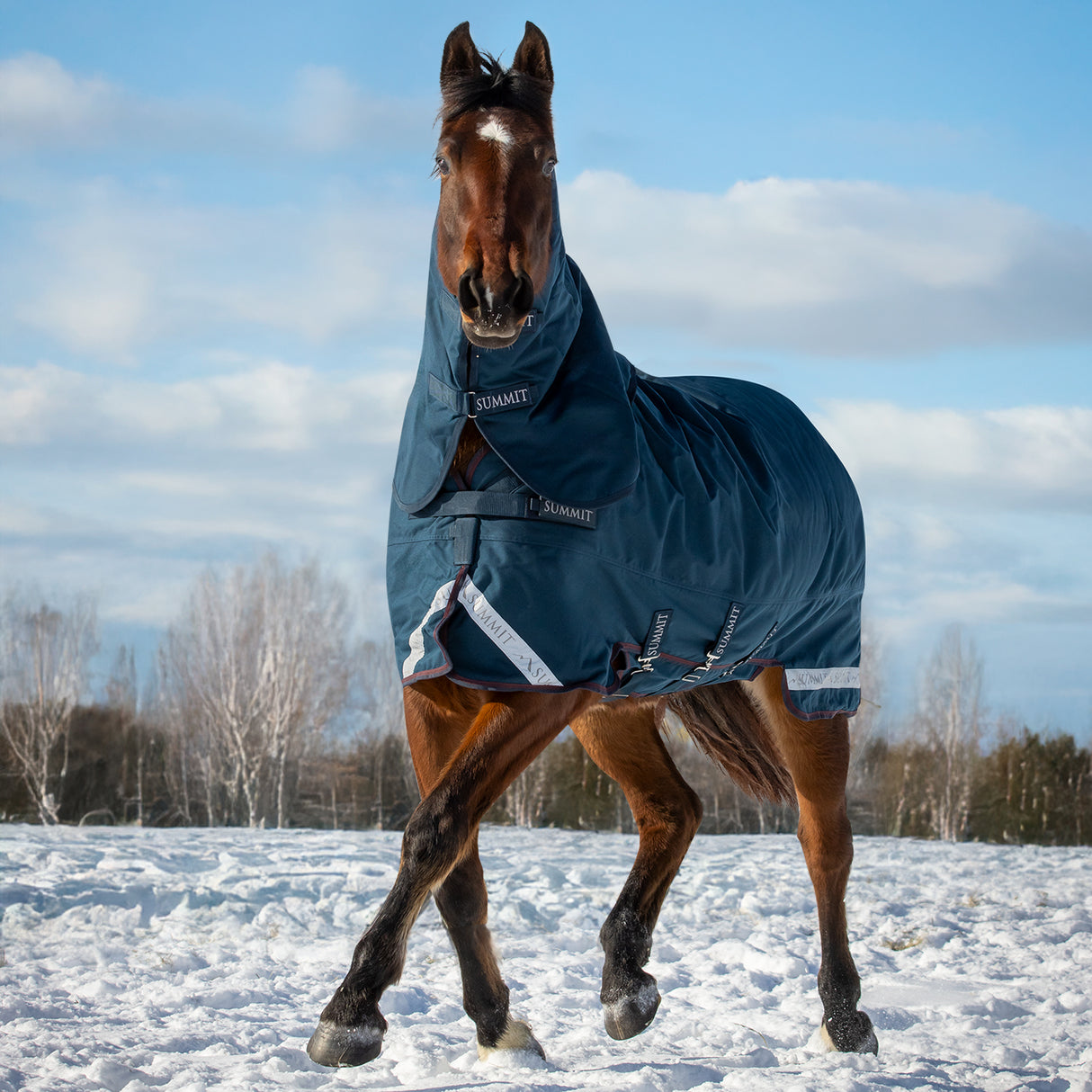 Summit Nova Turnout Blanket 400 g W/ 150 g Hood