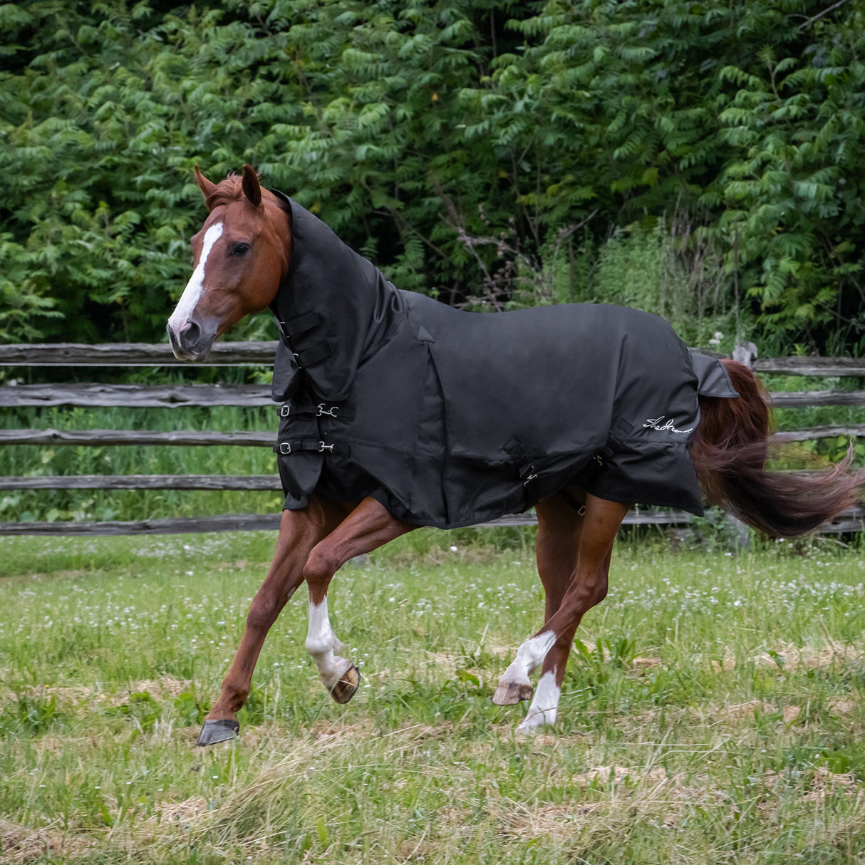 Shedrow Full Neck Rainsheet 0 g