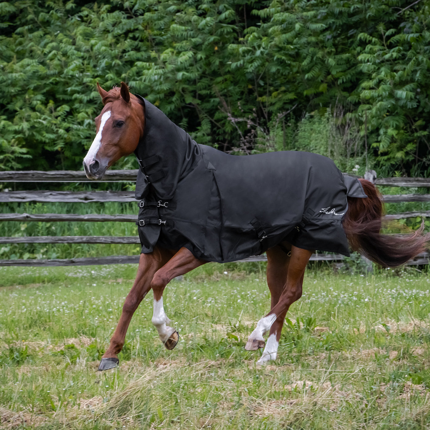 Shedrow Full Neck Rainsheet 0 g