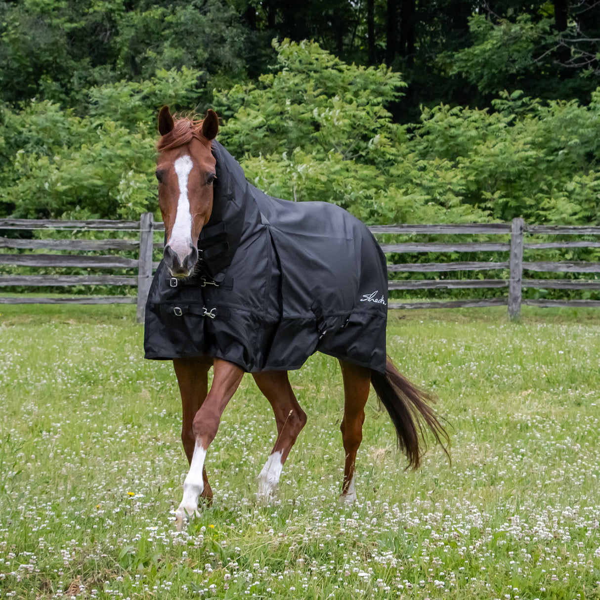 Shedrow Full Neck Rainsheet 0 g