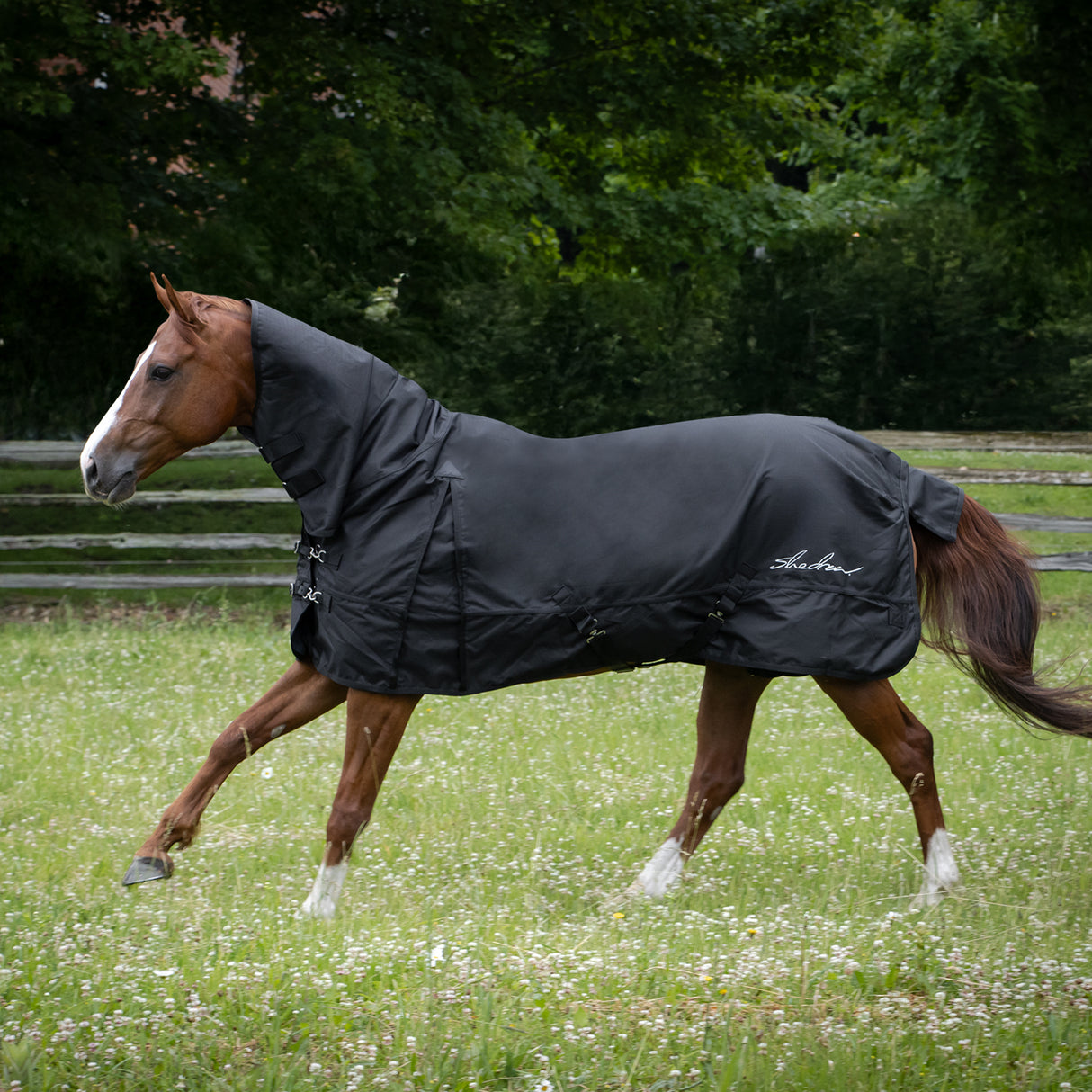 Shedrow Full Neck Rainsheet 0 g