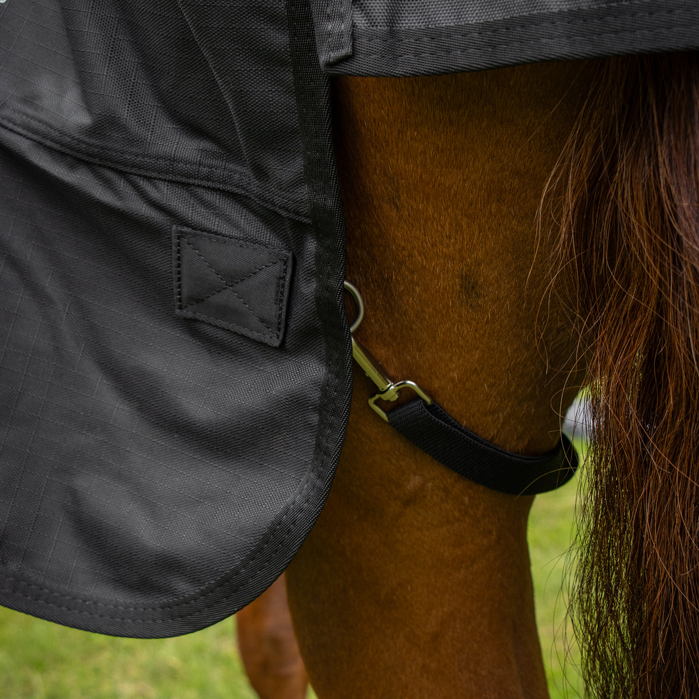 Shedrow Full Neck Rainsheet 0 g