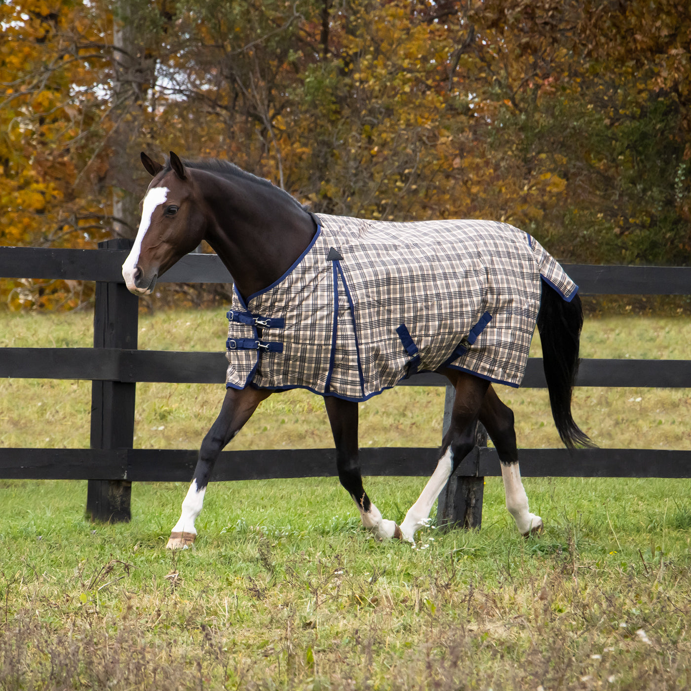 Shedrow Traditional Plaid Insulated Rainsheet