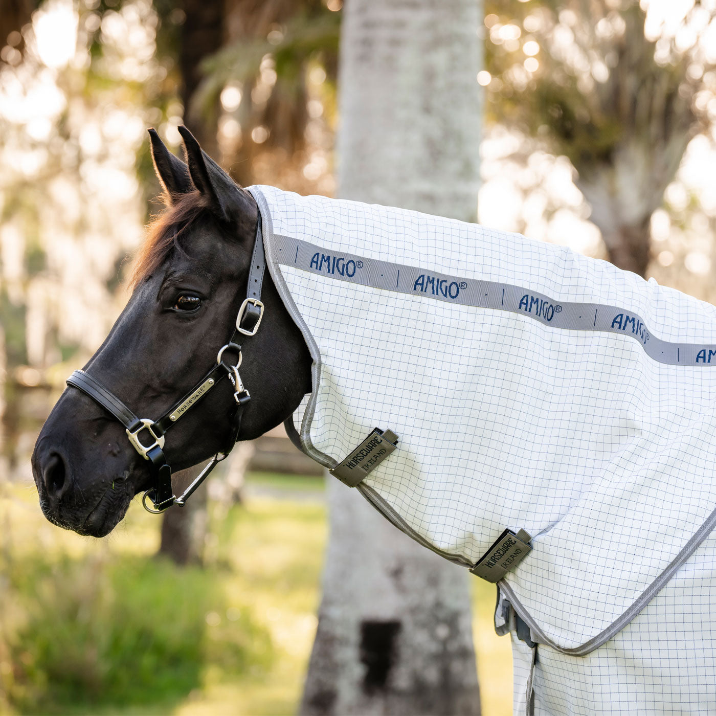 Amigo Summer Fly Sheet Plus