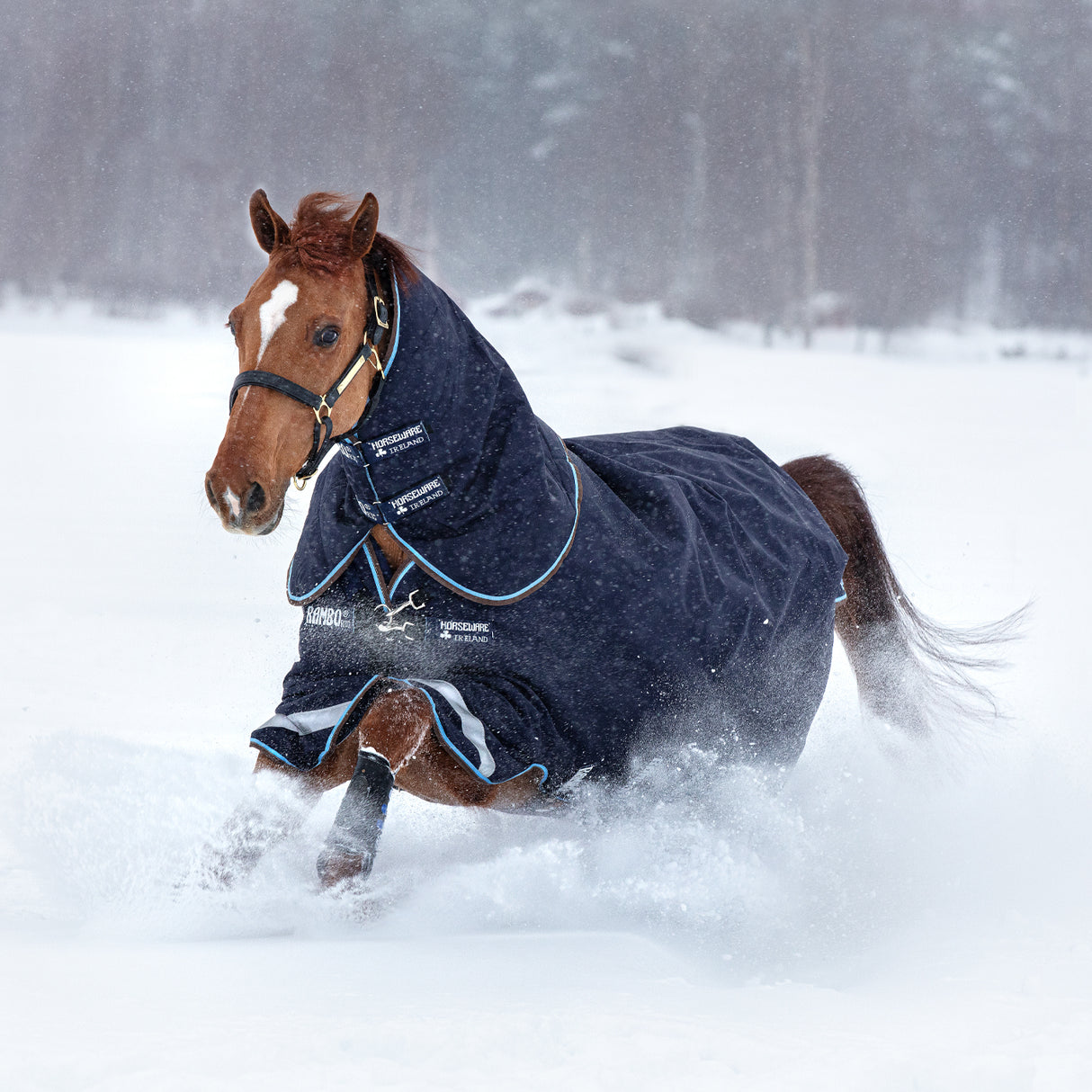 Rambo Duo Plus Turnout Blanket